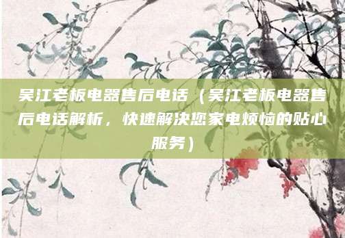 吴江老板电器售后电话（吴江老板电器售后电话解析，快速解决您家电烦恼的贴心服务）