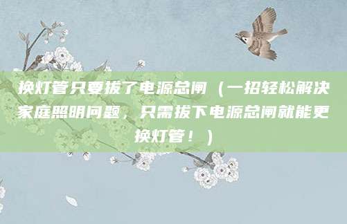 换灯管只要拔了电源总闸（一招轻松解决家庭照明问题，只需拔下电源总闸就能更换灯管！）