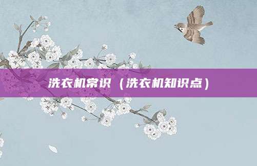 洗衣机常识（洗衣机知识点）