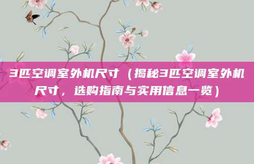 3匹空调室外机尺寸（揭秘3匹空调室外机尺寸，选购指南与实用信息一览）