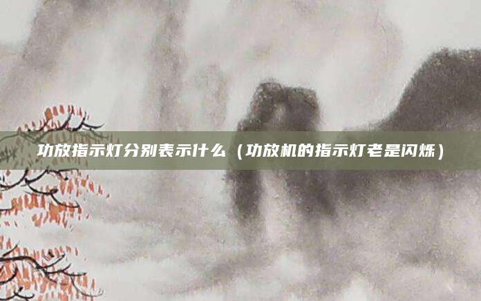 功放指示灯分别表示什么（功放机的指示灯老是闪烁）