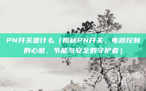 PN开关是什么（揭秘PN开关，电器控制的心脏，节能与安全的守护者）