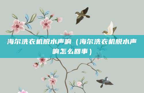 海尔洗衣机脱水声响（海尔洗衣机脱水声响怎么回事）
