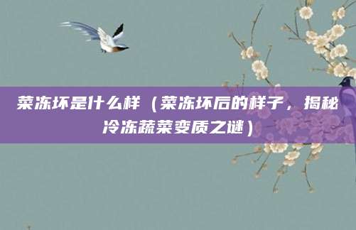 菜冻坏是什么样（菜冻坏后的样子，揭秘冷冻蔬菜变质之谜）