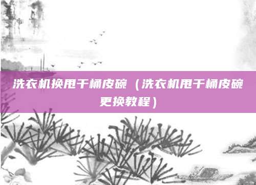 洗衣机换甩干桶皮碗（洗衣机甩干桶皮碗更换教程）