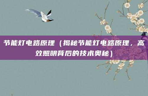 节能灯电路原理（揭秘节能灯电路原理，高效照明背后的技术奥秘）