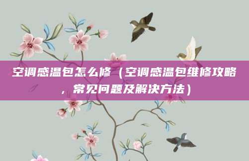空调感温包怎么修（空调感温包维修攻略，常见问题及解决方法）