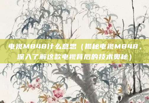 电视M848什么意思（揭秘电视M848，深入了解这款电视背后的技术奥秘）