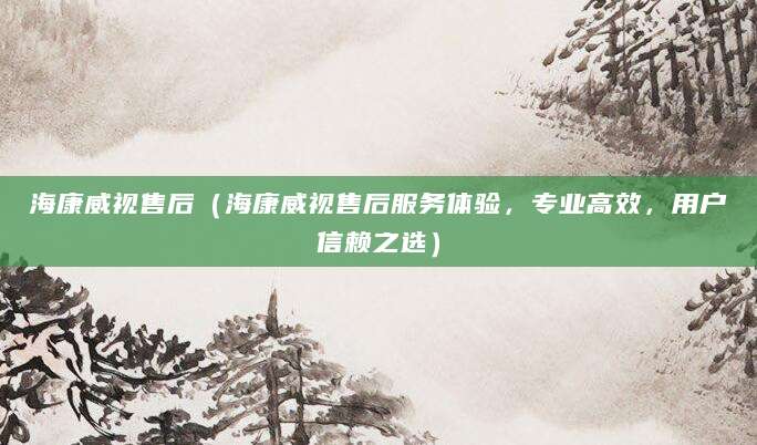 海康威视售后（海康威视售后服务体验，专业高效，用户信赖之选）
