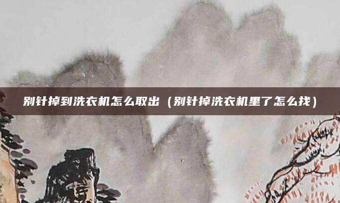 别针掉到洗衣机怎么取出（别针掉洗衣机里了怎么找）
