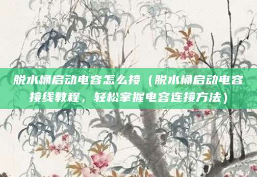 脱水桶启动电容怎么接（脱水桶启动电容接线教程，轻松掌握电容连接方法）
