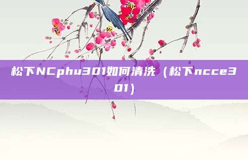 松下NCphu301如何清洗（松下ncce301）