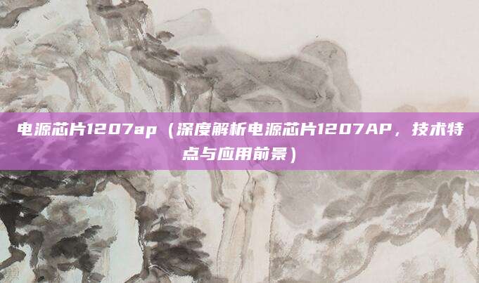 电源芯片1207ap（深度解析电源芯片1207AP，技术特点与应用前景）