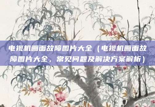 电视机画面故障图片大全（电视机画面故障图片大全，常见问题及解决方案解析）