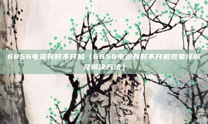 6856电源有时不开机（6856电源有时不开机现象详解及解决方法）