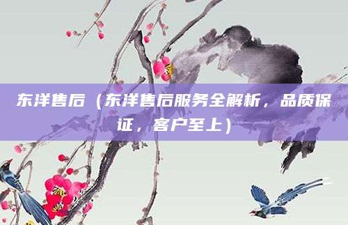 东洋售后（东洋售后服务全解析，品质保证，客户至上）