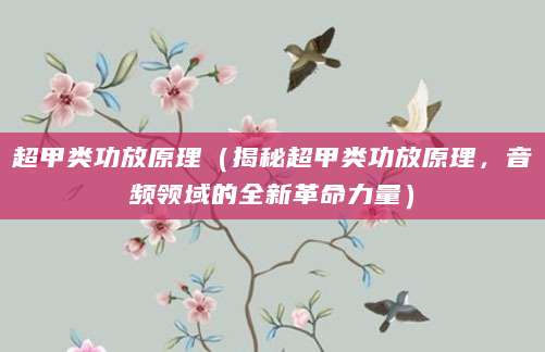 超甲类功放原理（揭秘超甲类功放原理，音频领域的全新革命力量）