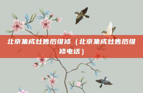 北京集成灶售后维修（北京集成灶售后维修电话）
