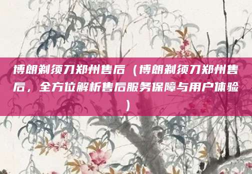 博朗剃须刀郑州售后（博朗剃须刀郑州售后，全方位解析售后服务保障与用户体验）