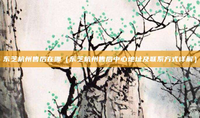 东芝杭州售后在哪（东芝杭州售后中心地址及联系方式详解）