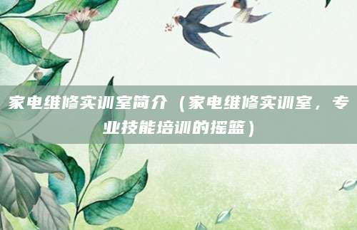 家电维修实训室简介(家电维修实训室,专业技能培训的摇篮)