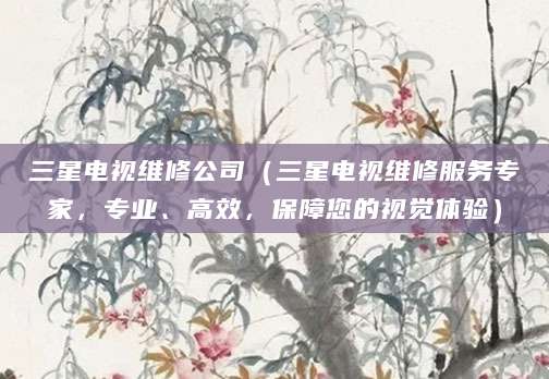 三星电视维修公司(三星电视维修服务专家,专业、高效,保障您的视觉体验)