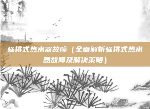 强排式热水器故障(全面解析强排式热水器故障及解决策略)