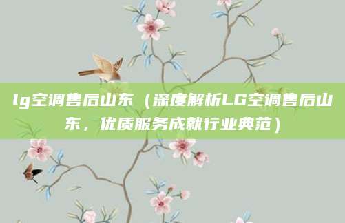 lg空调售后山东（深度解析LG空调售后山东，优质服务成就行业典范）