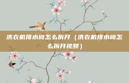 洗衣机排水阀怎么拆开(洗衣机排水阀怎么拆开视频)