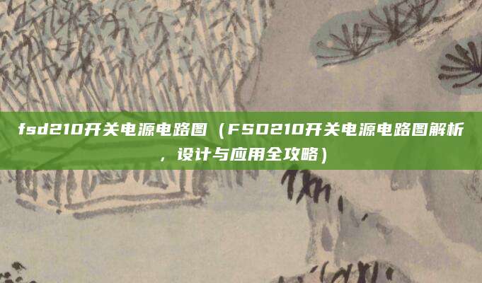 fsd210开关电源电路图(FSD210开关电源电路图解析,设计与应用全攻略)