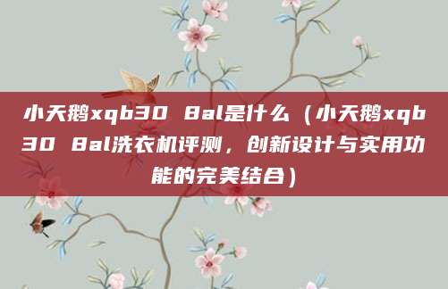 小天鹅xqb30 8al是什么(小天鹅xqb30 8al洗衣机评测,创新设计与实用功能的完美结合)