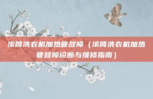 滚筒洗衣机加热管故障（滚筒洗衣机加热管故障诊断与维修指南）