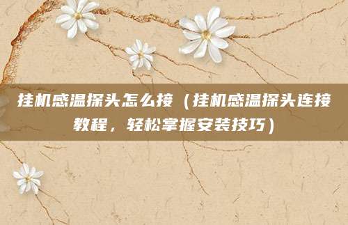 挂机感温探头怎么接（挂机感温探头连接教程，轻松掌握安装技巧）