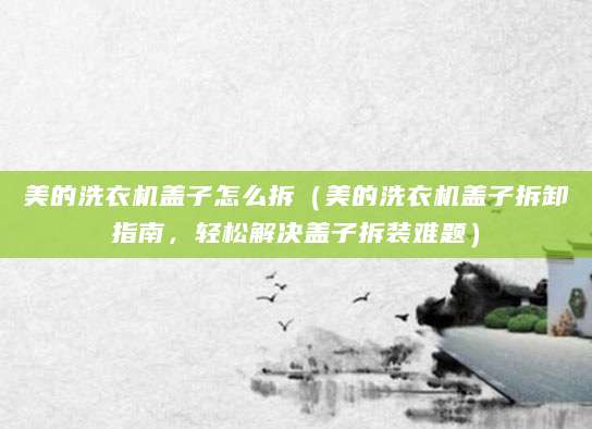 美的洗衣机盖子怎么拆（美的洗衣机盖子拆卸指南，轻松解决盖子拆装难题）