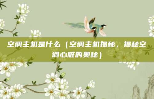 空调主机是什么（空调主机揭秘，揭秘空调心脏的奥秘）
