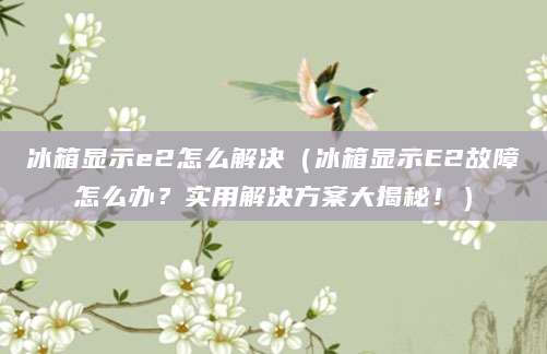 冰箱显示e2怎么解决（冰箱显示E2故障怎么办？实用解决方案大揭秘！）