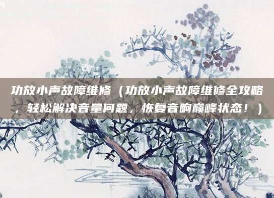 功放小声故障维修（功放小声故障维修全攻略，轻松解决音量问题，恢复音响巅峰状态！）