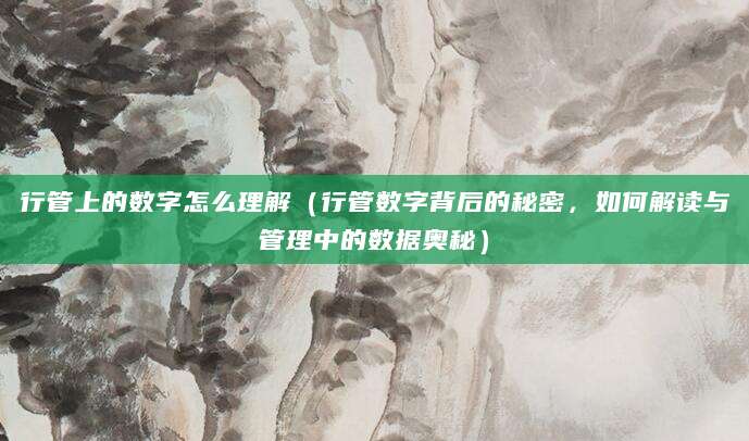 行管上的数字怎么理解（行管数字背后的秘密，如何解读与管理中的数据奥秘）