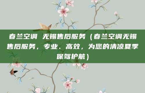 春兰空调 无锡售后服务（春兰空调无锡售后服务，专业、高效，为您的清凉夏季保驾护航）