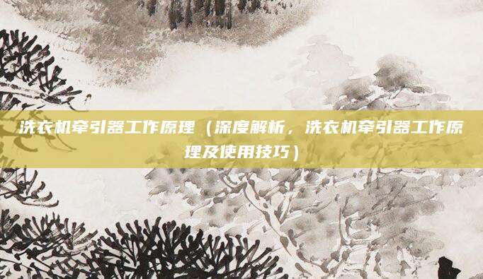 洗衣机牵引器工作原理（深度解析，洗衣机牵引器工作原理及使用技巧）
