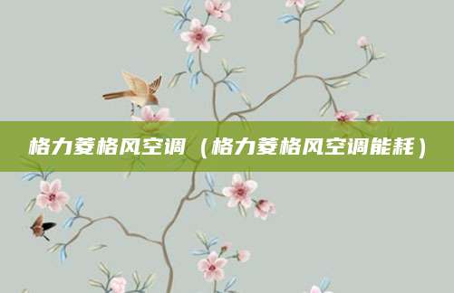 格力菱格风空调（格力菱格风空调能耗）