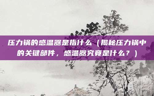 压力锅的感温器是指什么（揭秘压力锅中的关键部件，感温器究竟是什么？）