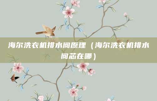 海尔洗衣机排水阀原理（海尔洗衣机排水阀芯在哪）