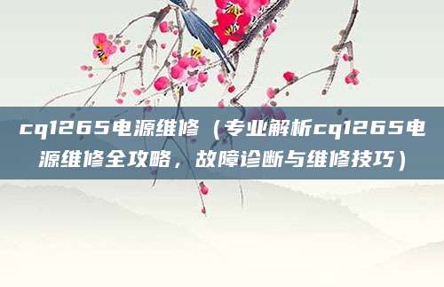 cq1265电源维修（专业解析cq1265电源维修全攻略，故障诊断与维修技巧）