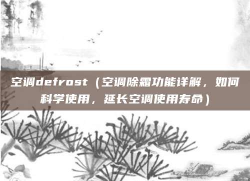 空调defrost（空调除霜功能详解，如何科学使用，延长空调使用寿命）