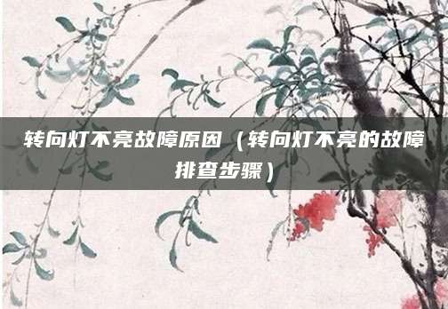 转向灯不亮故障原因（转向灯不亮的故障排查步骤）