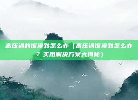 高压锅的饭没熟怎么办（高压锅饭没熟怎么办？实用解决方案大揭秘）