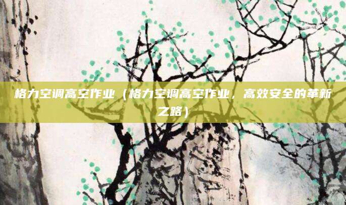 格力空调高空作业（格力空调高空作业，高效安全的革新之路）