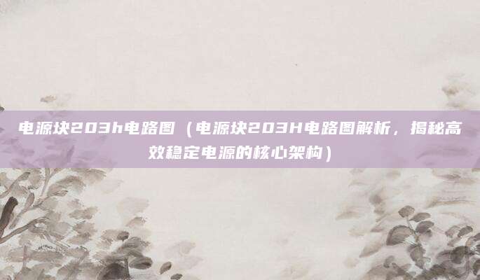 电源块203h电路图（电源块203H电路图解析，揭秘高效稳定电源的核心架构）