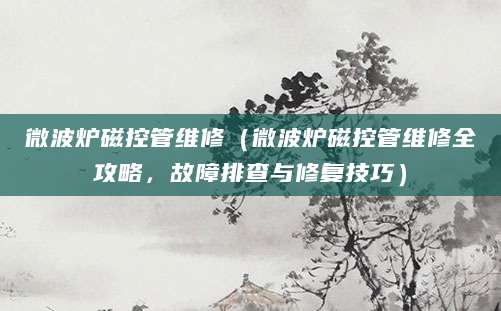 微波炉磁控管维修（微波炉磁控管维修全攻略，故障排查与修复技巧）